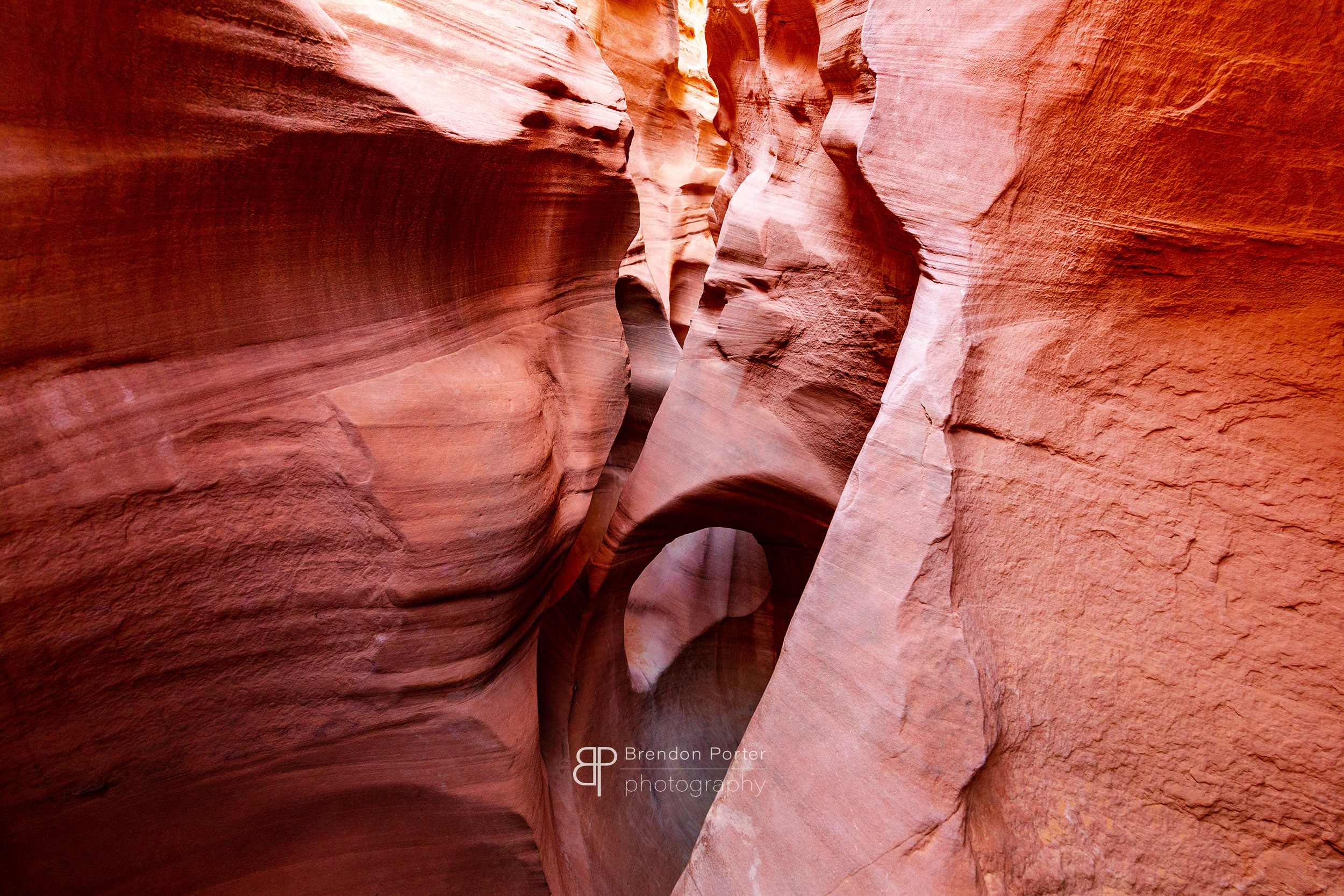 Canyon Wonder