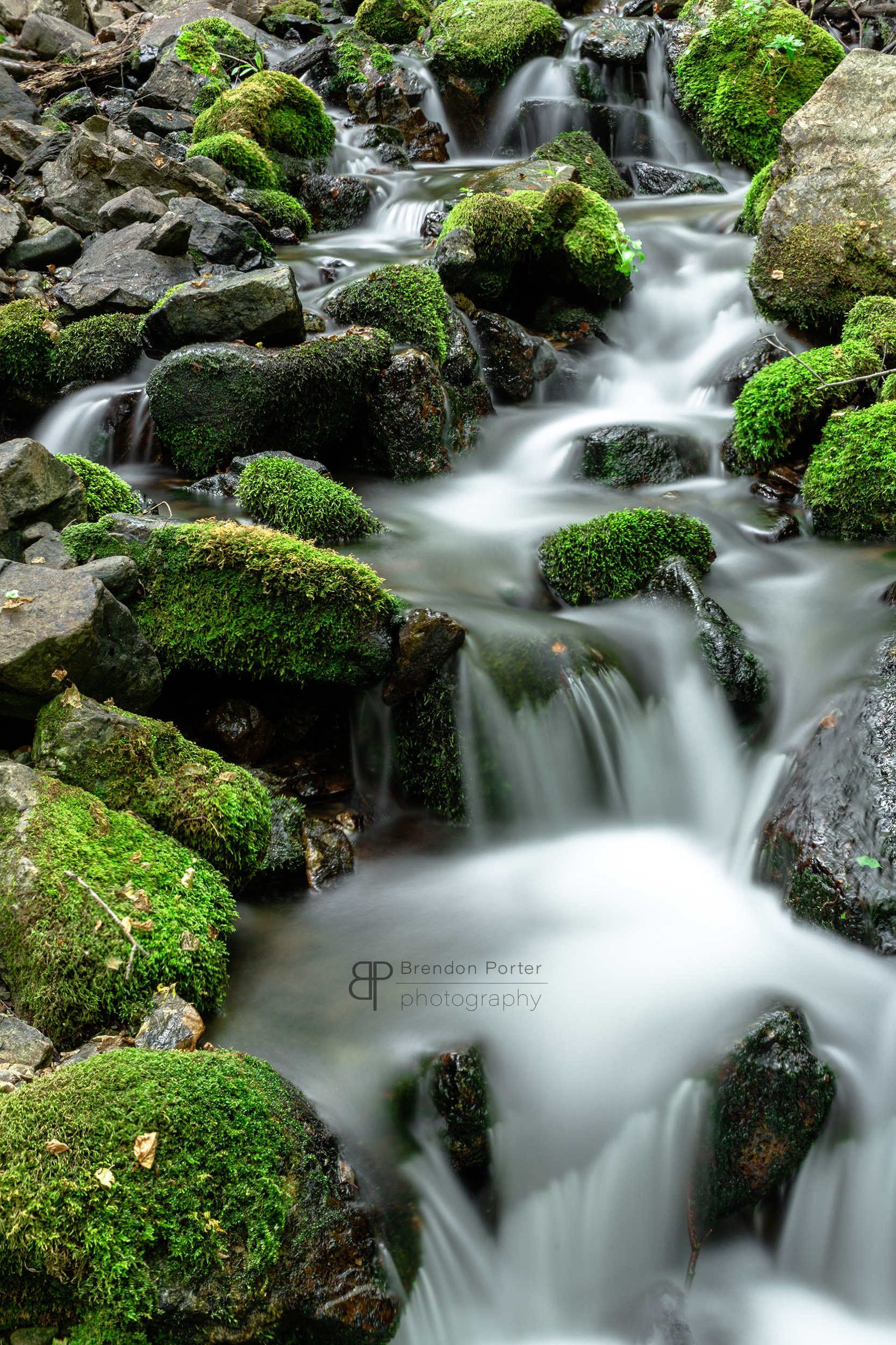 Mossy Stream