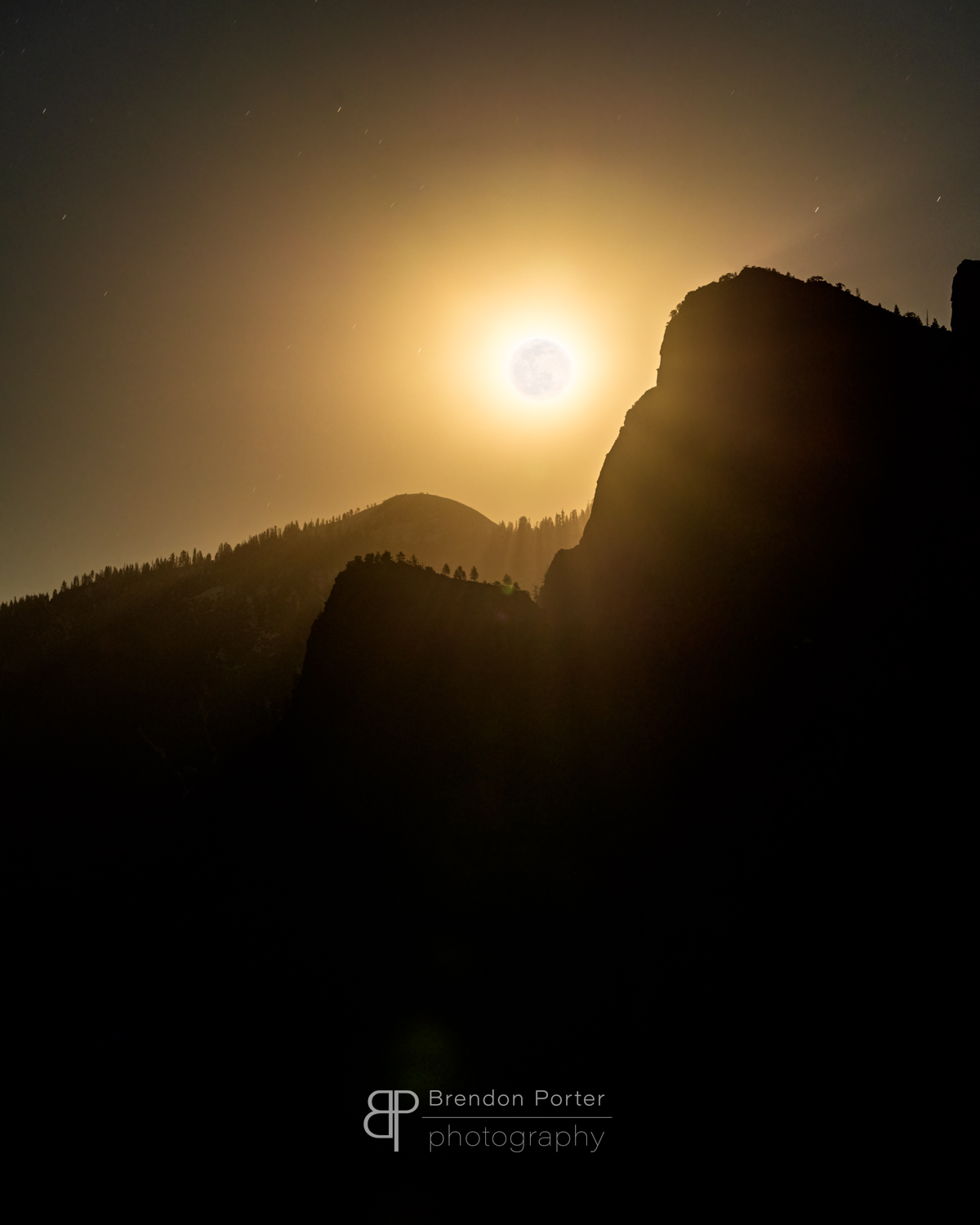 Nature's Symphony