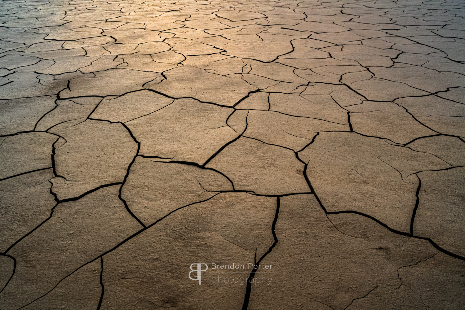 Cracked Earth
