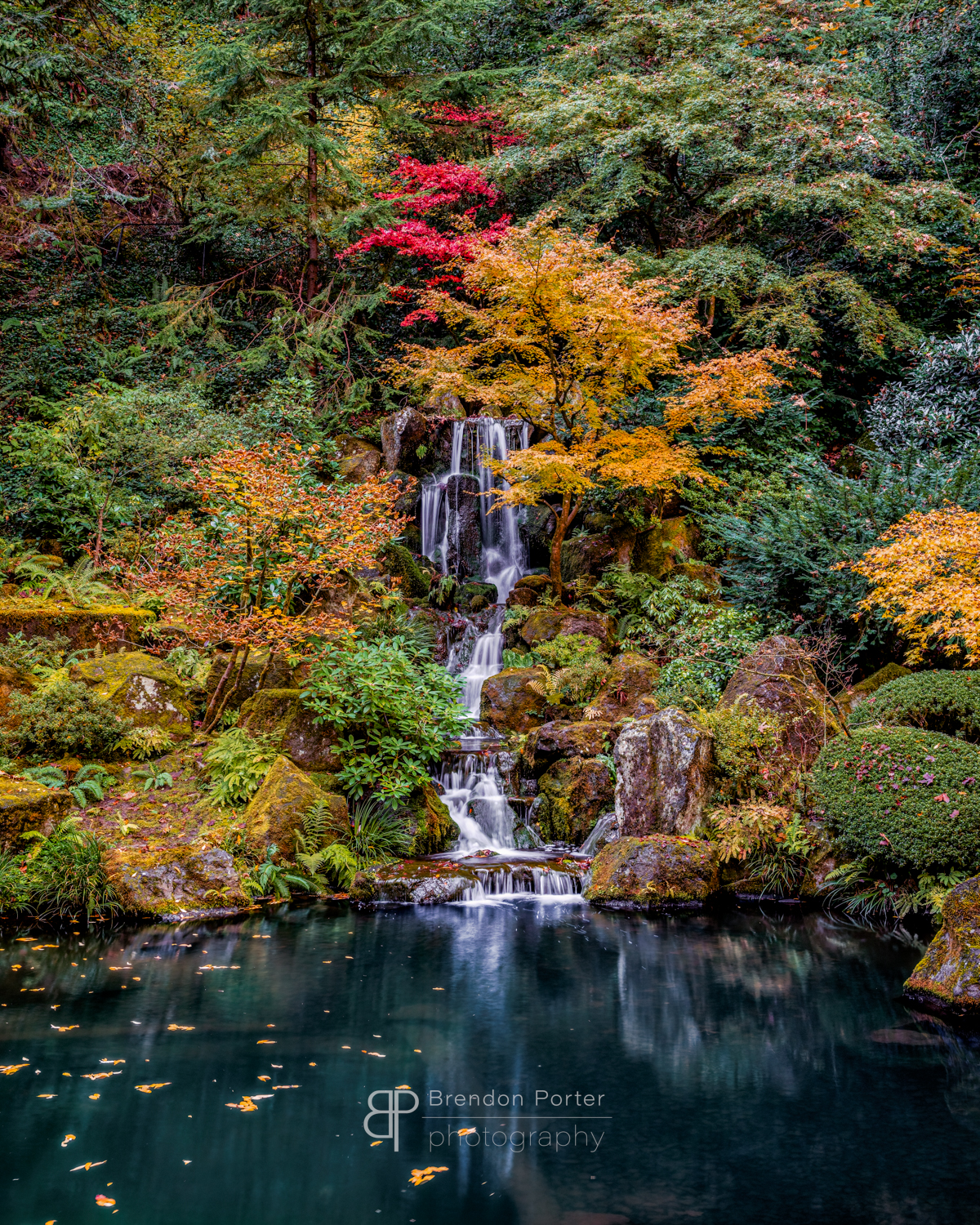 Autumnal Waterfall